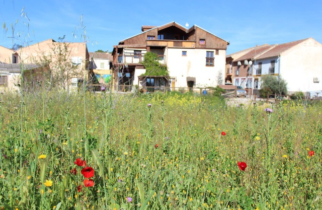 Self catering La Choza de Trasmulas up to 30 people