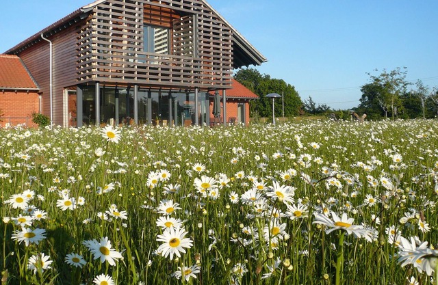 Self-contained Studio/Apartment with a well equipped kitchen & private bathroom