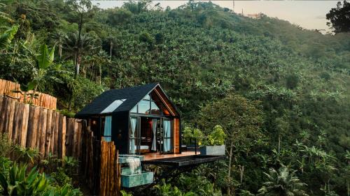 Selva Negra Cabins
