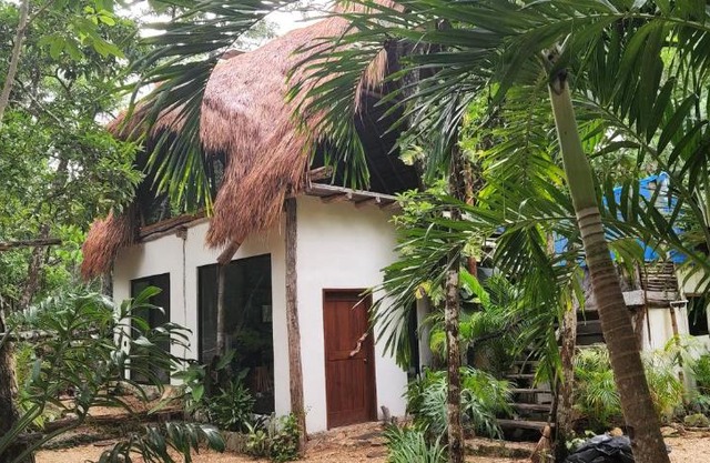 SELVA ROCA