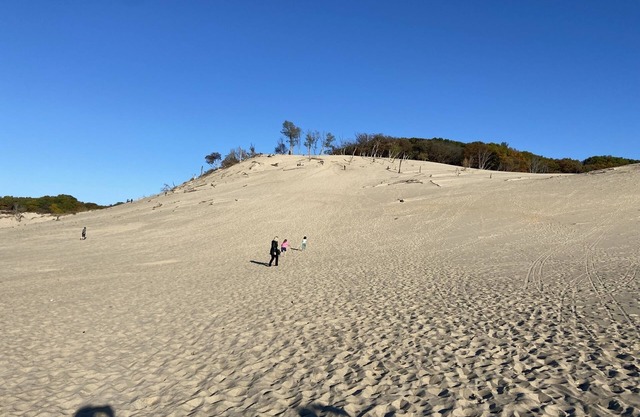 Sensational Sunsets, Sand dunes, Swimming, and Sipping in SW MI. 2 mi to beach
