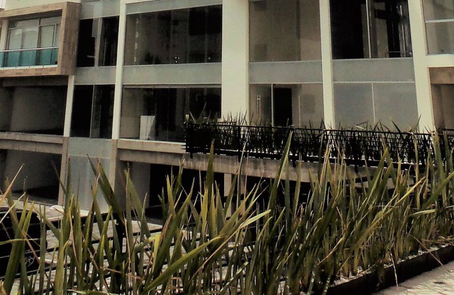 SENZA SUITES & LOFT´S Puebla Best Area Angelópolis Two bedroom Luxury apartment