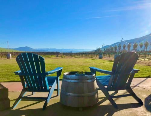 Sequoia View Vineyard