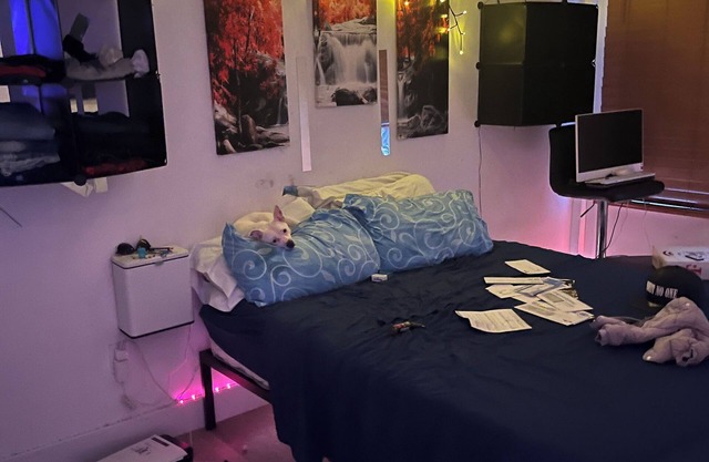 Serene apartment with WiFi in vibrant Brooklyn