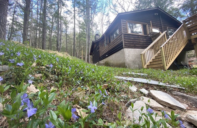 Serene Waterfront Log Cabin on 1 Wooded Acre with NEW REDUCED RATES FOR 2024!