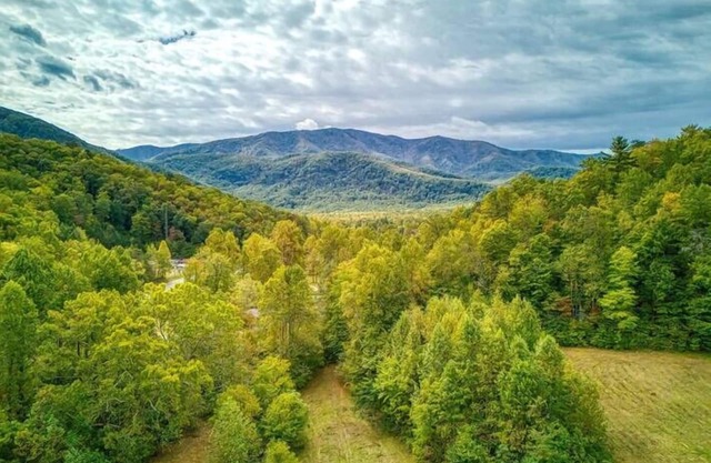 Serenity Cottage -Pickleball Court, Creek, WIFI, Mountain Views, Starting at $79