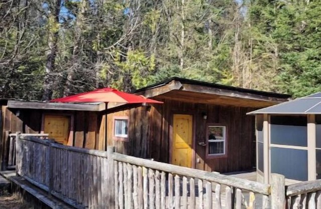 Serenity Lane Stay: Private cabin in the woods on an animal sanctuary