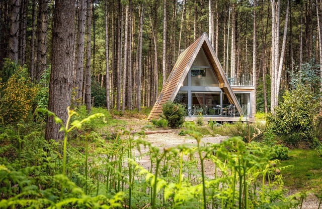 Set in an exclusive and secluded development of gorgeous woodland lodges in Weybourne Forest, Liz's