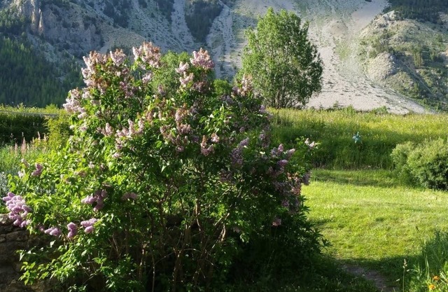 Several apartments/houses for rent in a beautiful valley in France