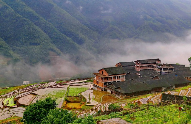 ShadowGreen Hotel