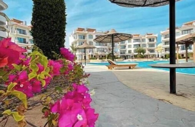 Sharm Hills Resort - Luxury Apartment 8
