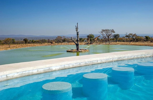 Shekinah Lion and Game Lodge