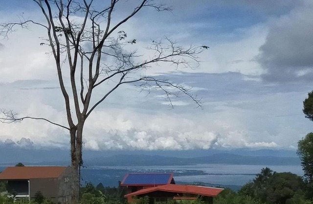 Shelo's happy place by the view