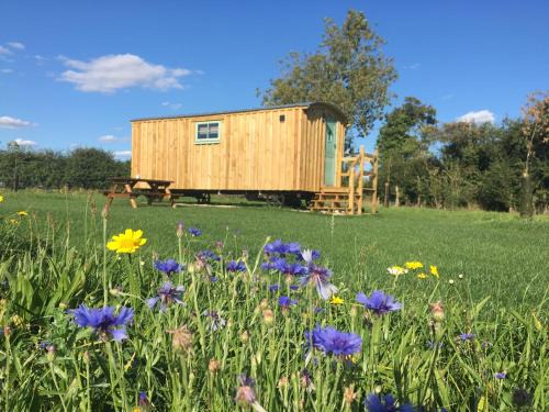 Shepherds Hut 5