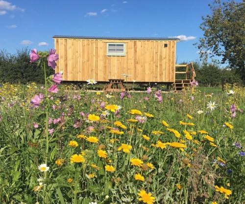 Shepherds Hut 6