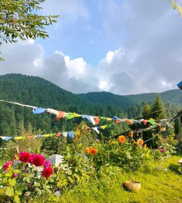 Shiva Cafe and Stays