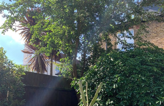 SHORT LET UP TO 5 WEEKS: 3 bed family home in West London with sunny garden