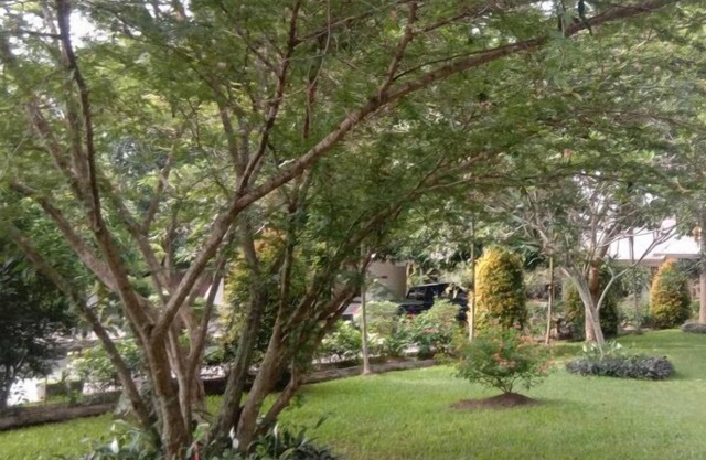Siantar Hotel Pematangsiantar