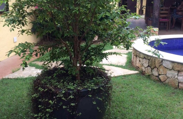 Simple, stylish and cozy house