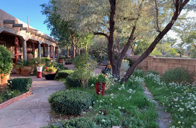 Single level large family home in the heart of SF.