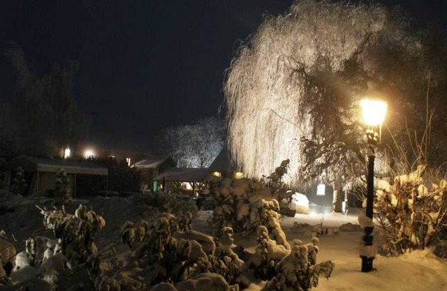 Single Room Manor - Hotel & Restaurant Am Peenetal