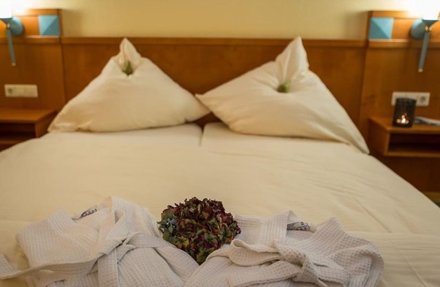 Single room Superior - Waldhotel Felschbachhof