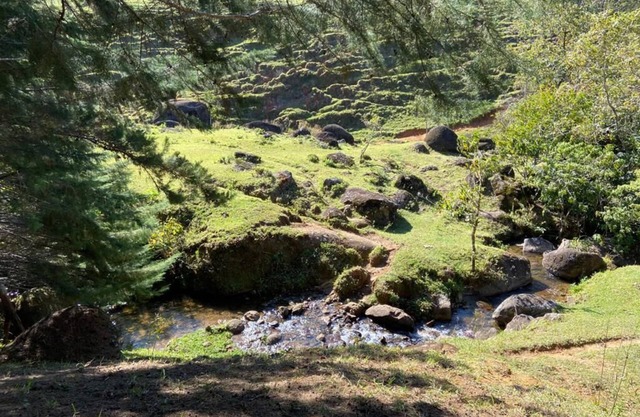 SITE IN SERRA DA MANTIQUEIRA with Wi-Fi
