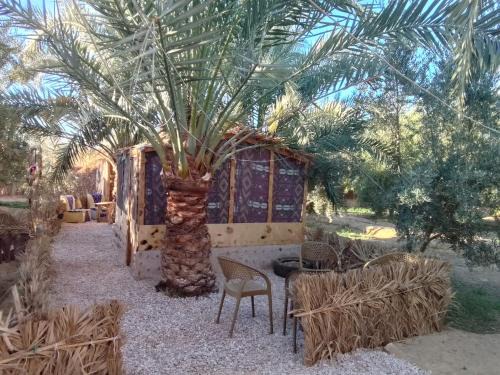 Siwa Gardenia Cottage اكواخ سيوة جاردينيا