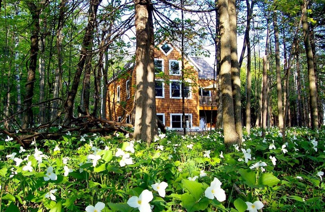 SKI NUBS & BOYNE! Waterfront! OVERLOOKING LAKE MICH! Pool Table, PS2! SUNSETS!