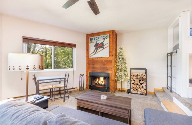 Skier's Paradise: Pet-Friendly, Easy Walk to Main Lift, 4 Beds