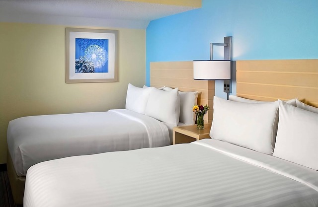 Skiing at Boston Mills! 4 Pet-friendly Units W/Kitchens, FREE Parking