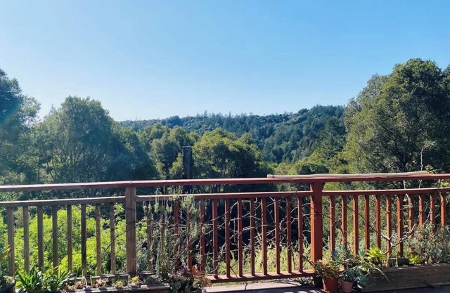 Sky Cabin Summary: Th