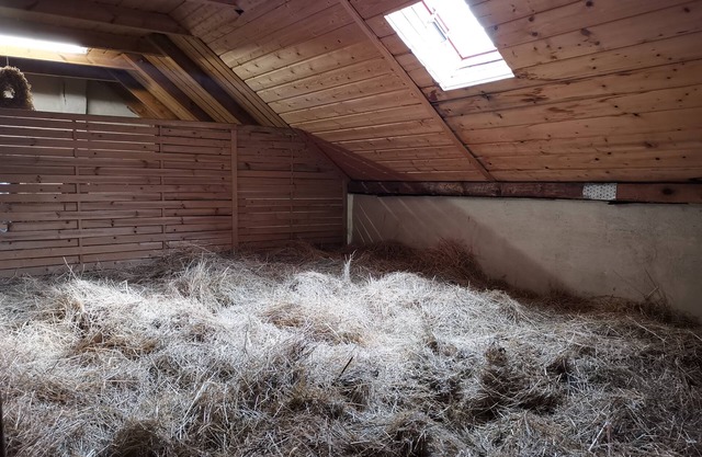 Sleeping on straw/hay bed - Ferienhof Sarodnick