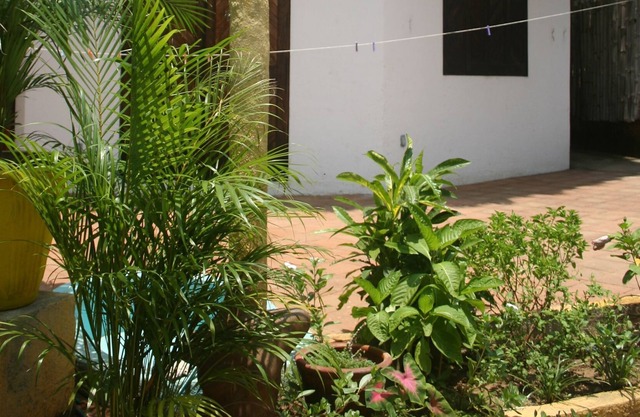 Small house with sea views - Mazunte