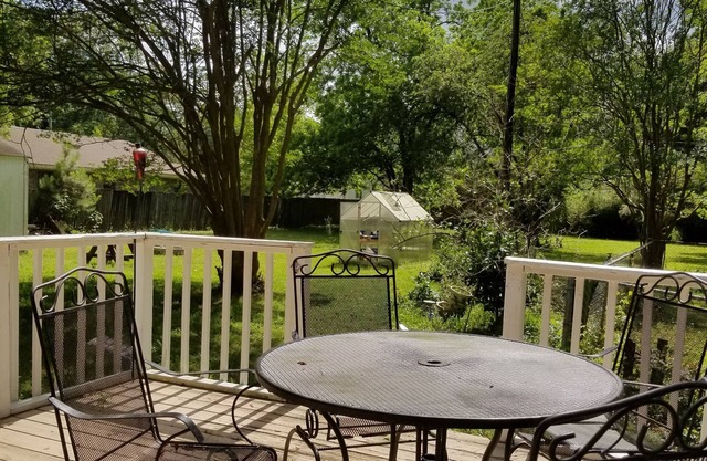 Small private home on quite street just a short distance to downtown Charleston.