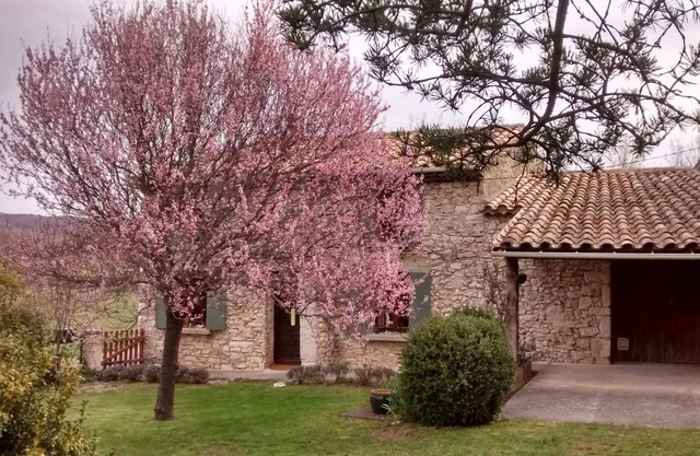 Small Provencal mas in local stone surrounded by nature.