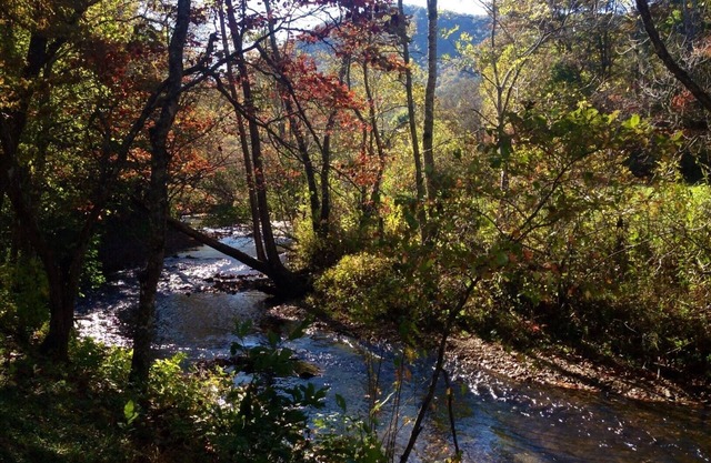 Smoky Mountain Creek Front Privacy