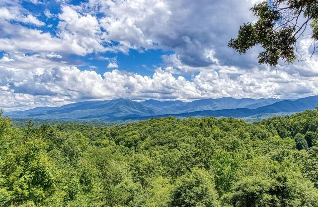 Smoky Vista Lodge, Amazing Mtn Views, Hot Tub, 560 FREE tickets each paid day, Dollywood and More!