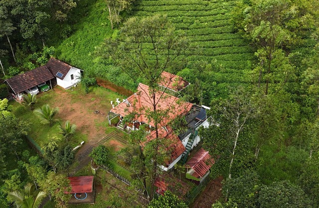 Snow Valley Munnar