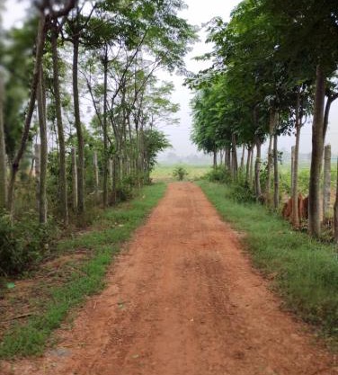 SNS Organic Farm Stay