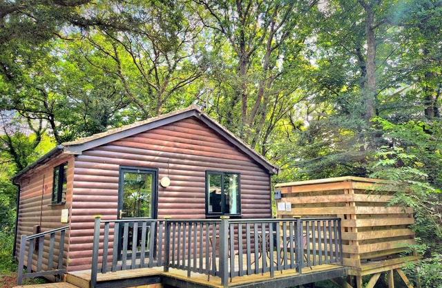 Snug Hut 5-Hot Tub-Woodland Lodges-Pembrokshire-Tenby