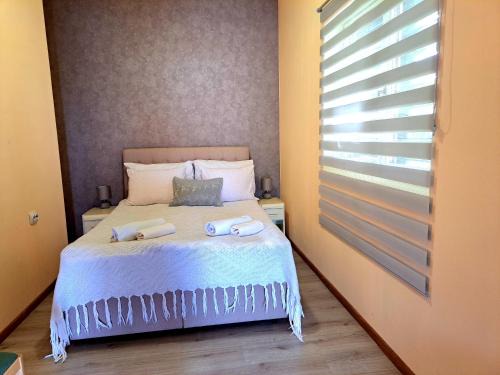 Apartmani 