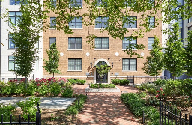Sonder Callisto | Studio Apartment