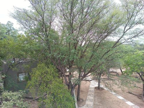 Sorabi Rock Safari Lodge