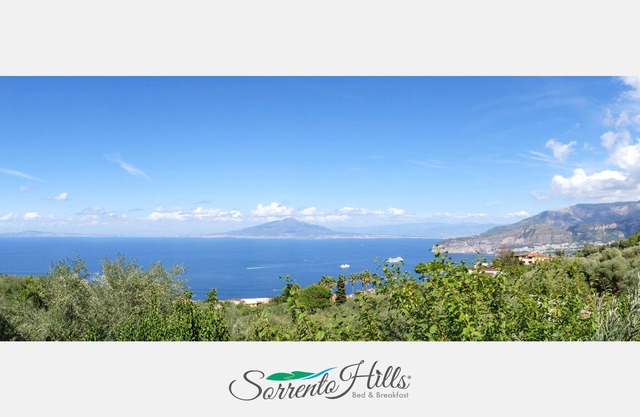 Sorrento Hills - View of the bay