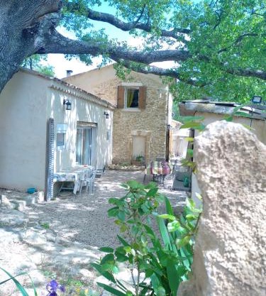 Sous un chêne bicentenaire