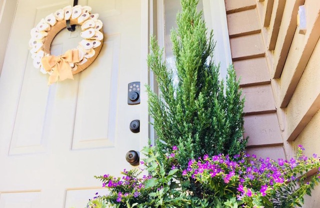 Southern Sophistication at the Park