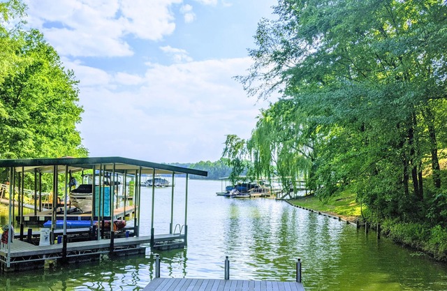 Space to spread out, enjoy the outdoors, and get away. 7br+pavilion