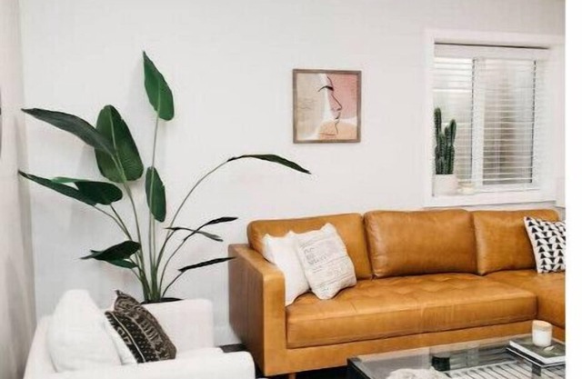 Spacious 1 Bedroom Pet Friendly Suite