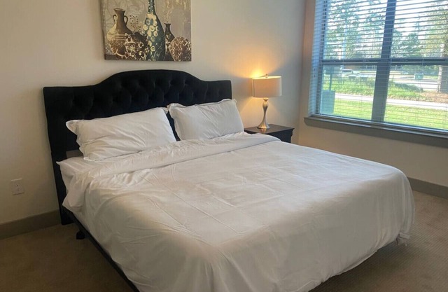 Spacious 2 bed/2 bath Apartment in Spring, TX